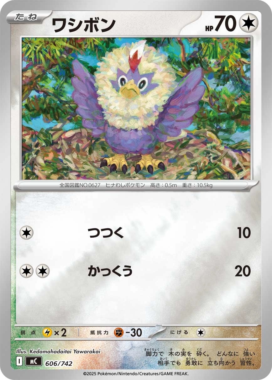 カキツバタ