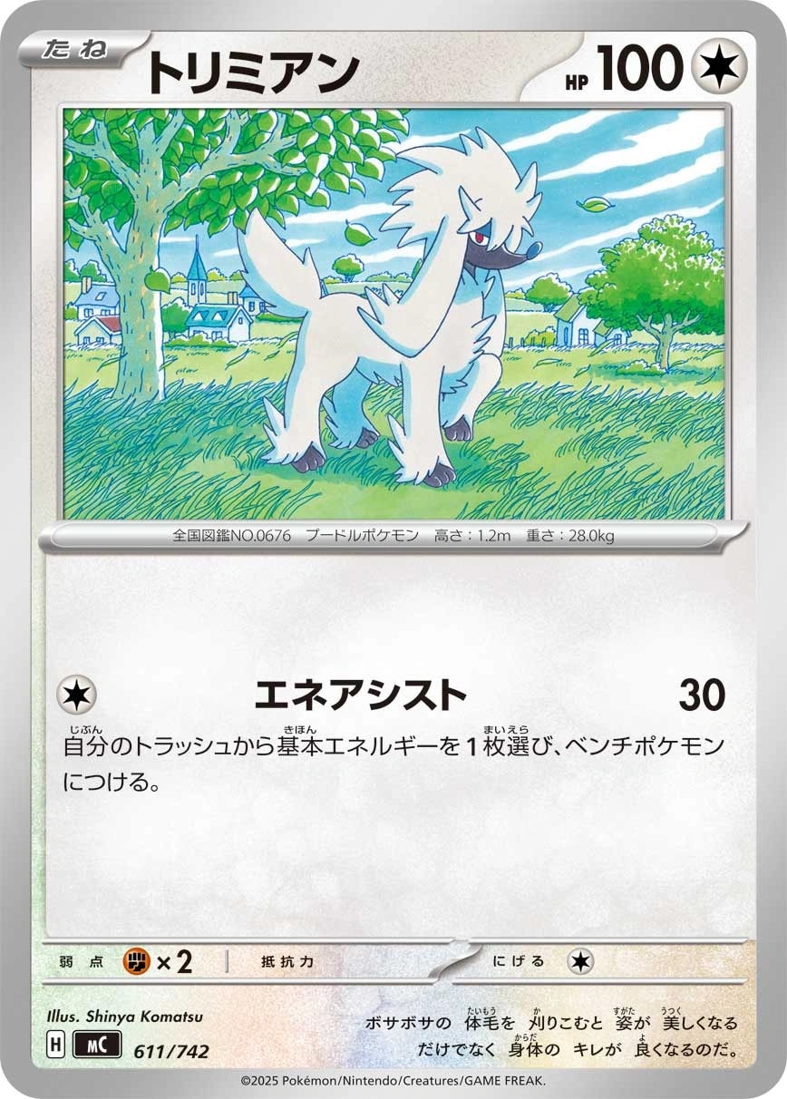 サーファー
