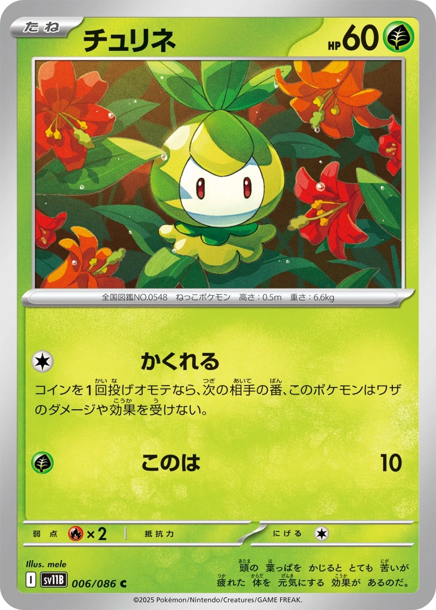 Foongus (タマゲタケ)