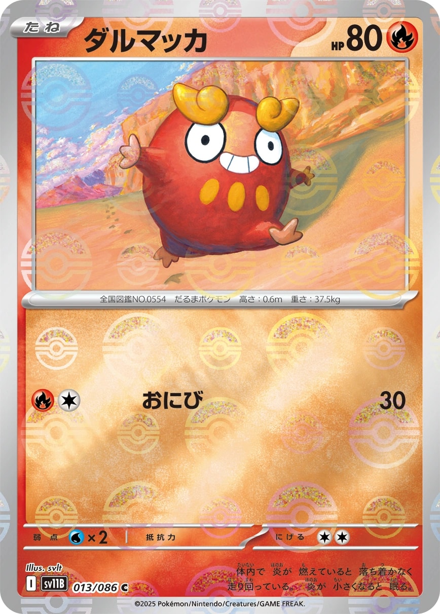 Tirtouga (プロトーガ)